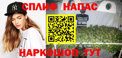 МДПВ Обь