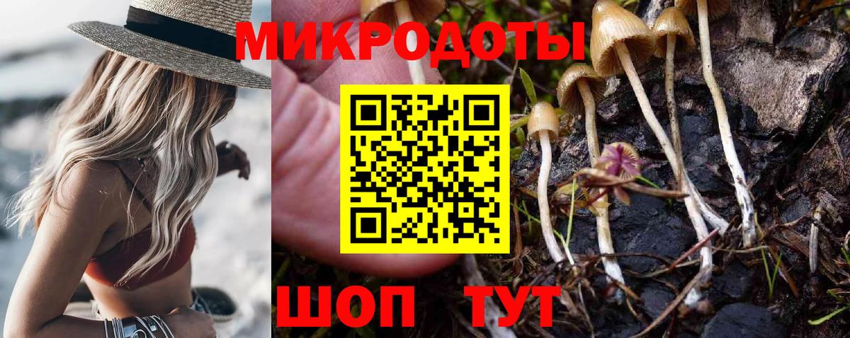 Галлюциногенные грибы мицелий Хасавюрт
