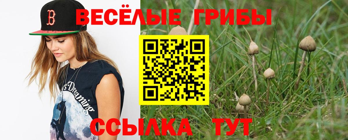 Хасавюрт  Псилоцибиновые грибы GOLDEN TEACHER  Псилоцибиновые грибы мицелий  Вход с VPN 